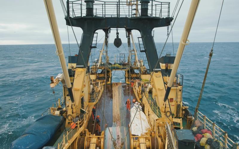 Das Deck "Nida" aus dem Film "Vom Traum, unsinkbar zu sein"