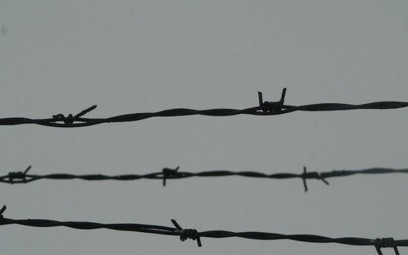 Maschendraht, Auchwitz 