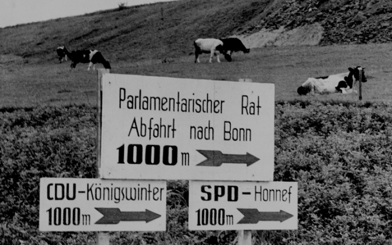 Straßenschilder auf Wiese