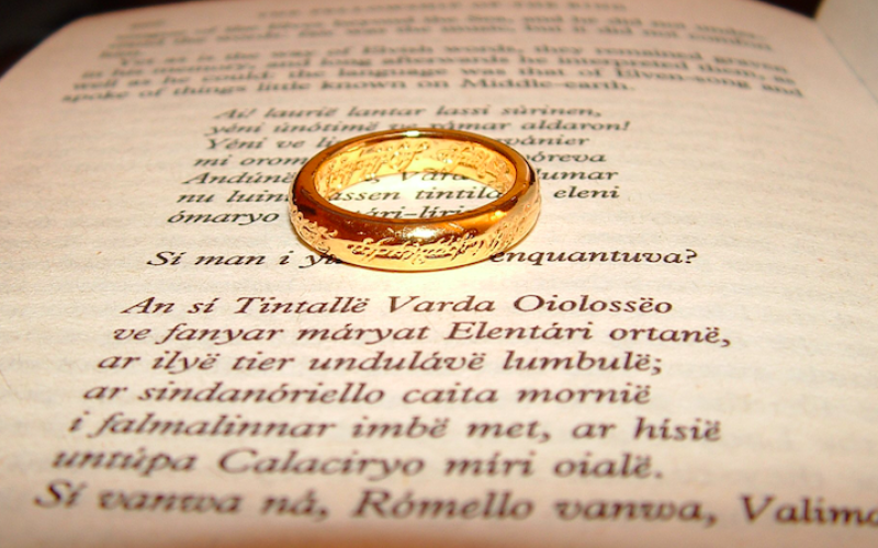 Der Ring auf dem ersten Buch der Reihe "Die Gefährten"