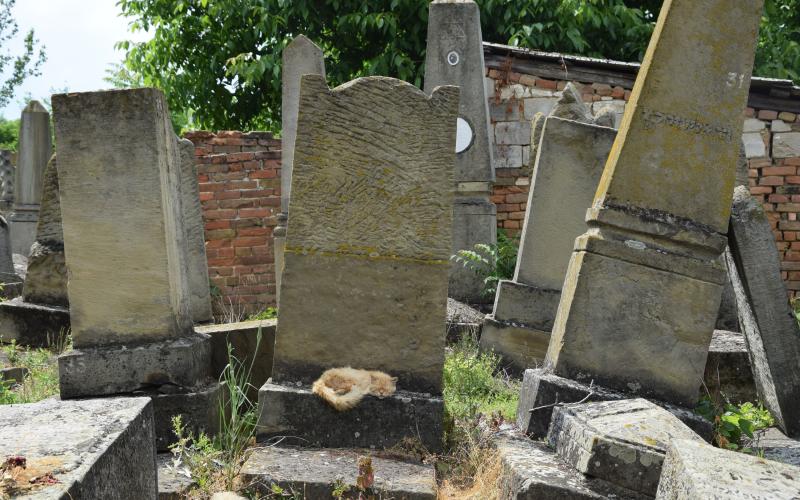 Der Jüdische Friedhof von Vălcineţ, 13. Juni 2017, © Maren Röger