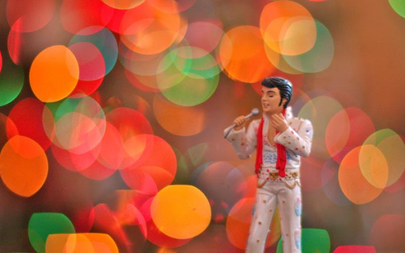 Elvis