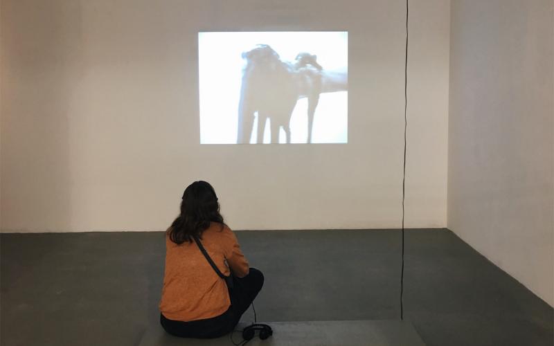 In der Ausstellung "The Influencing Machine, NGBK 2018.