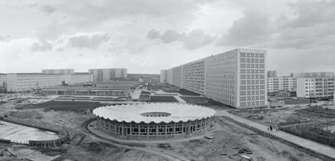 lp_langner_stegmann_202105_00-2000.jpeg