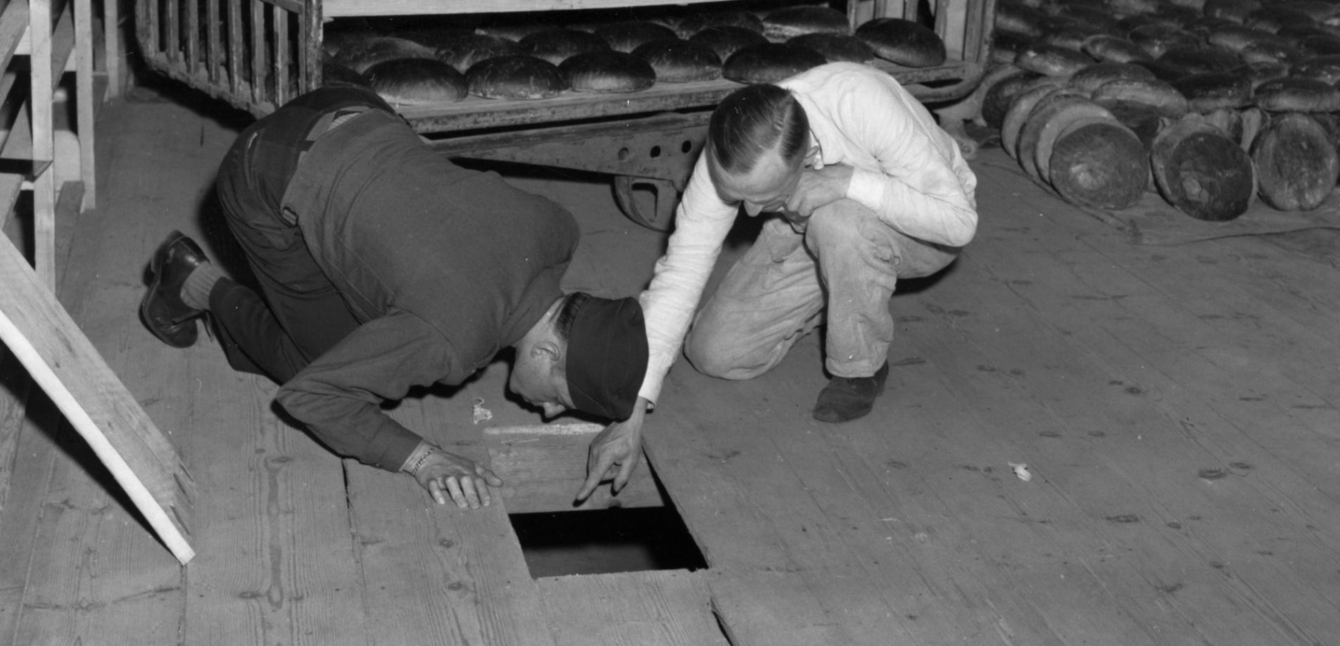 U.S. federal government, U.S. Lt. Robert R, Rogers, left, and Erich Pinkau, of the German criminal police, inspect the bakery and the hiding place of Leipke Distel, a member of Jewish revenge group Nakam, who had tried to poison loaves of bread for SS prisoners, 1946