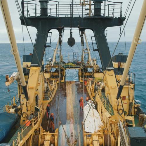 Das Deck "Nida" aus dem Film "Vom Traum, unsinkbar zu sein"