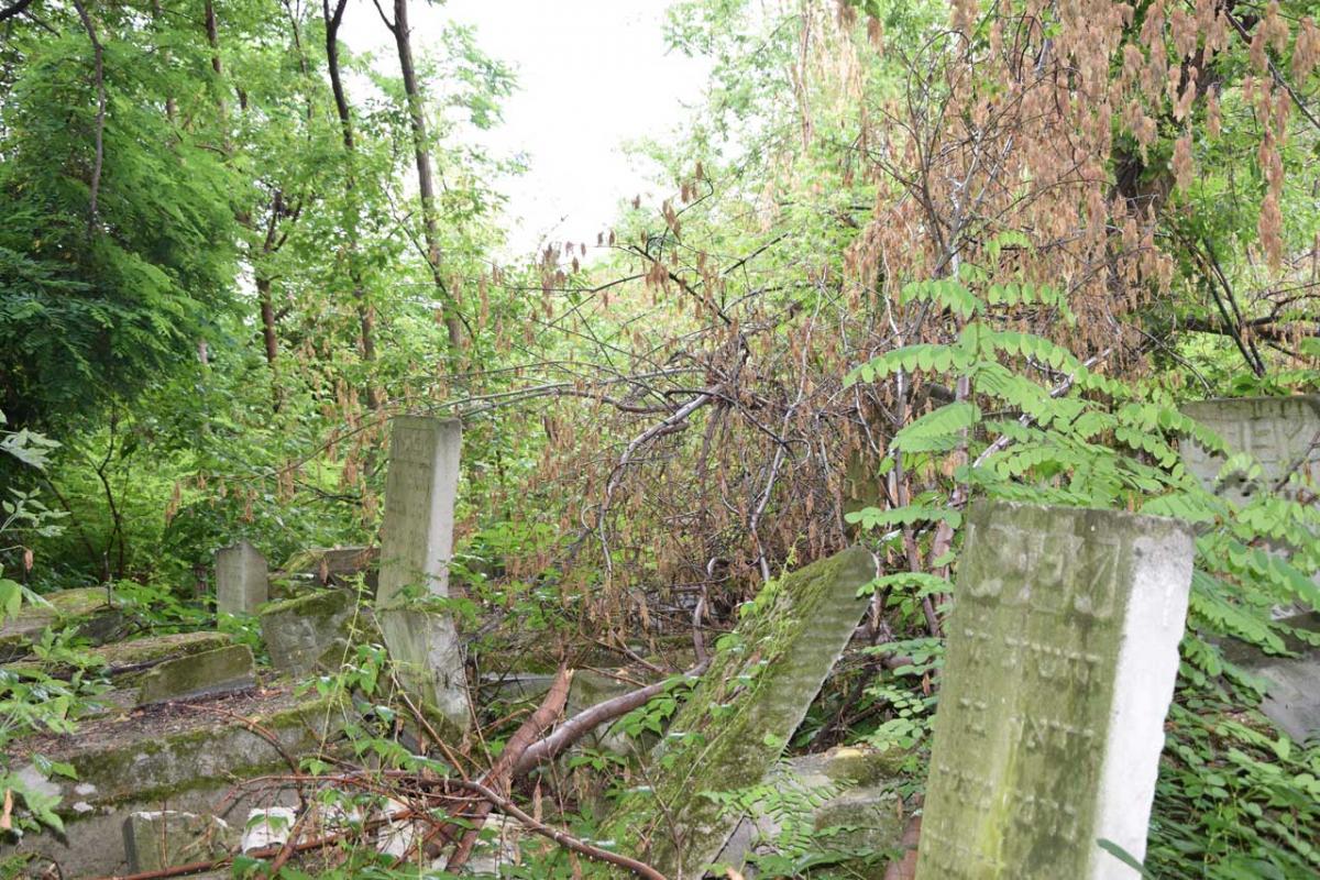 Der jüdische Friedhof in Chisinau, 18. Juni 2017, © Maren Röger